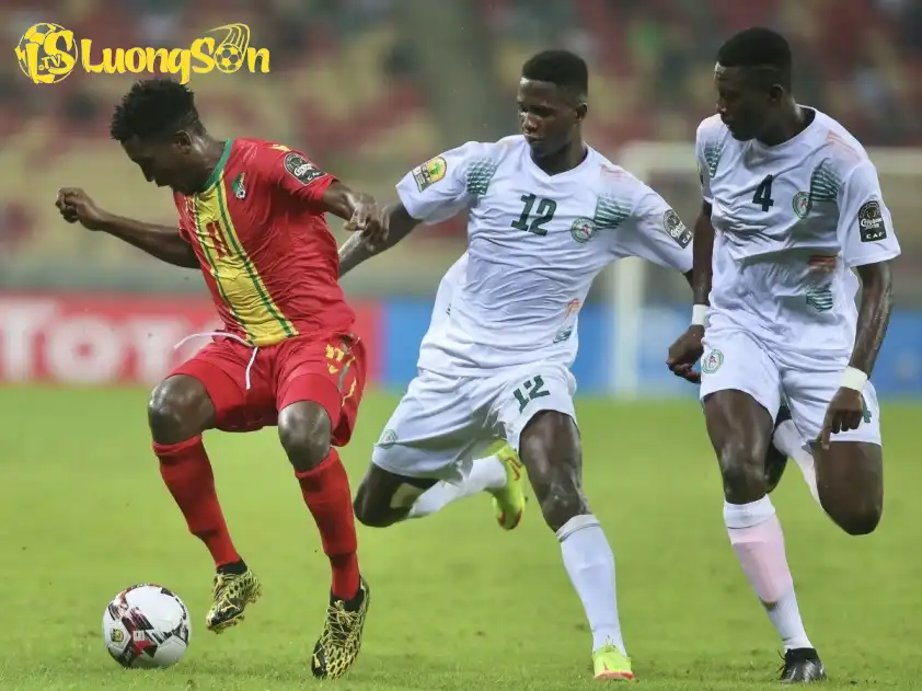 Niger đủ khả năng để giành chiến thắng trước Congo khi được chơi trên sân nhà